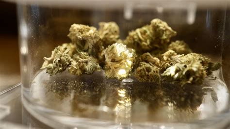 As another cannabis retailer tries to save itself, is the industry .